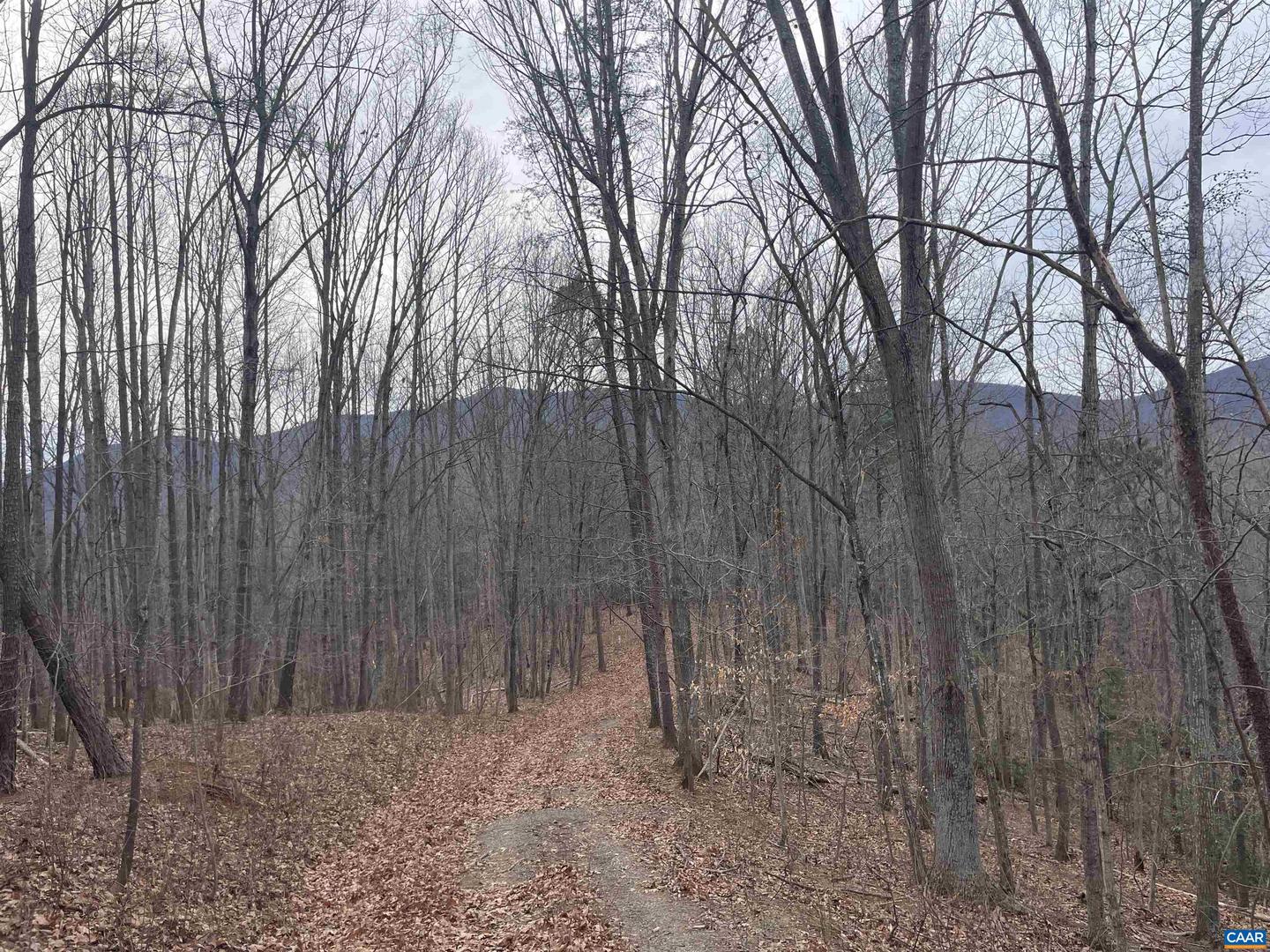 LOT 12 ENNIS MOUNTAIN RD, AFTON, Virginia 22920, ,Land,For sale,LOT 12 ENNIS MOUNTAIN RD,657845 MLS # 657845