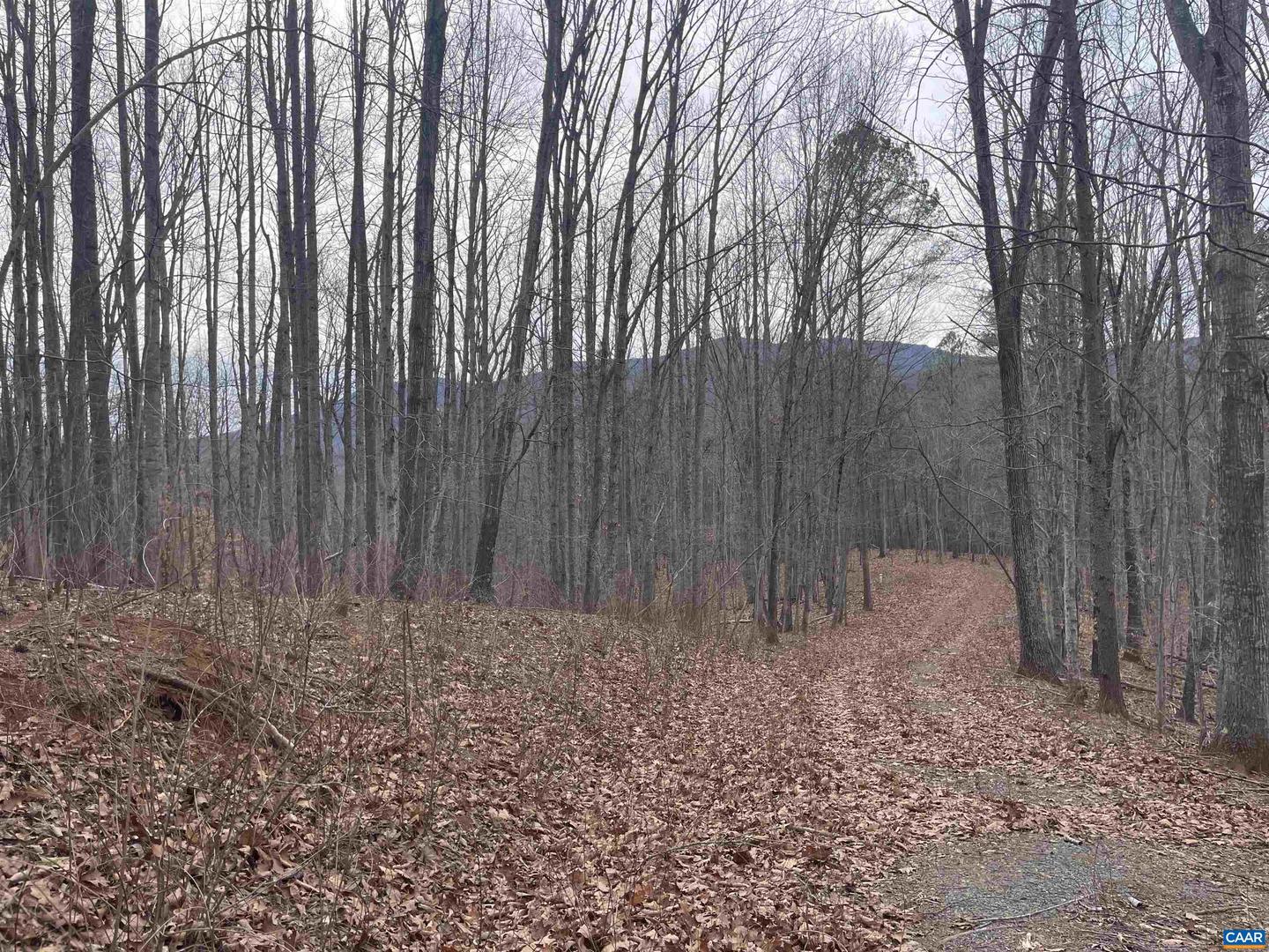 LOT 12 ENNIS MOUNTAIN RD, AFTON, Virginia 22920, ,Land,For sale,LOT 12 ENNIS MOUNTAIN RD,657845 MLS # 657845