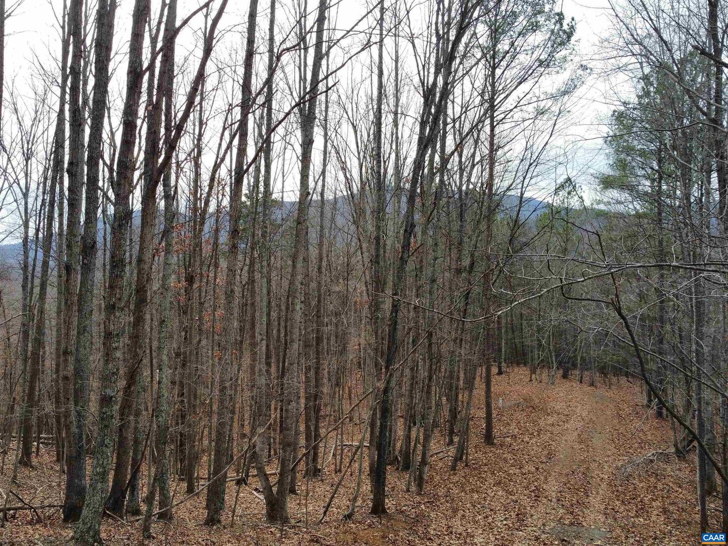 LOT 12 ENNIS MOUNTAIN RD, AFTON, Virginia 22920, ,Land,For sale,LOT 12 ENNIS MOUNTAIN RD,657845 MLS # 657845