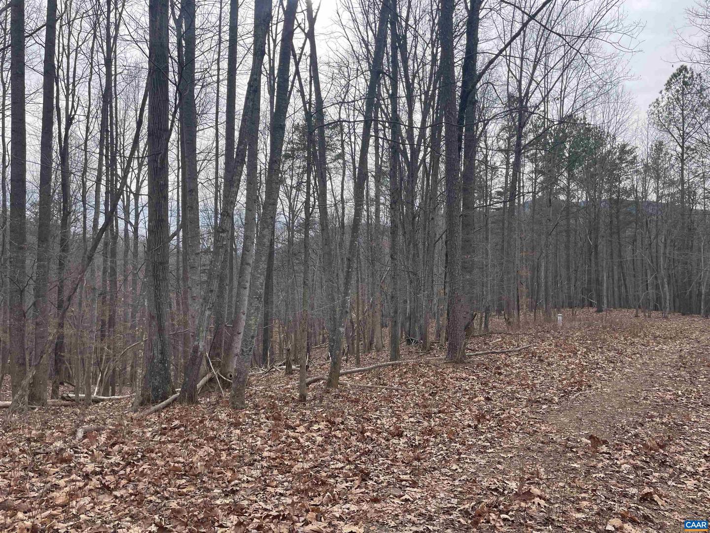 LOT 12 ENNIS MOUNTAIN RD, AFTON, Virginia 22920, ,Land,For sale,LOT 12 ENNIS MOUNTAIN RD,657845 MLS # 657845