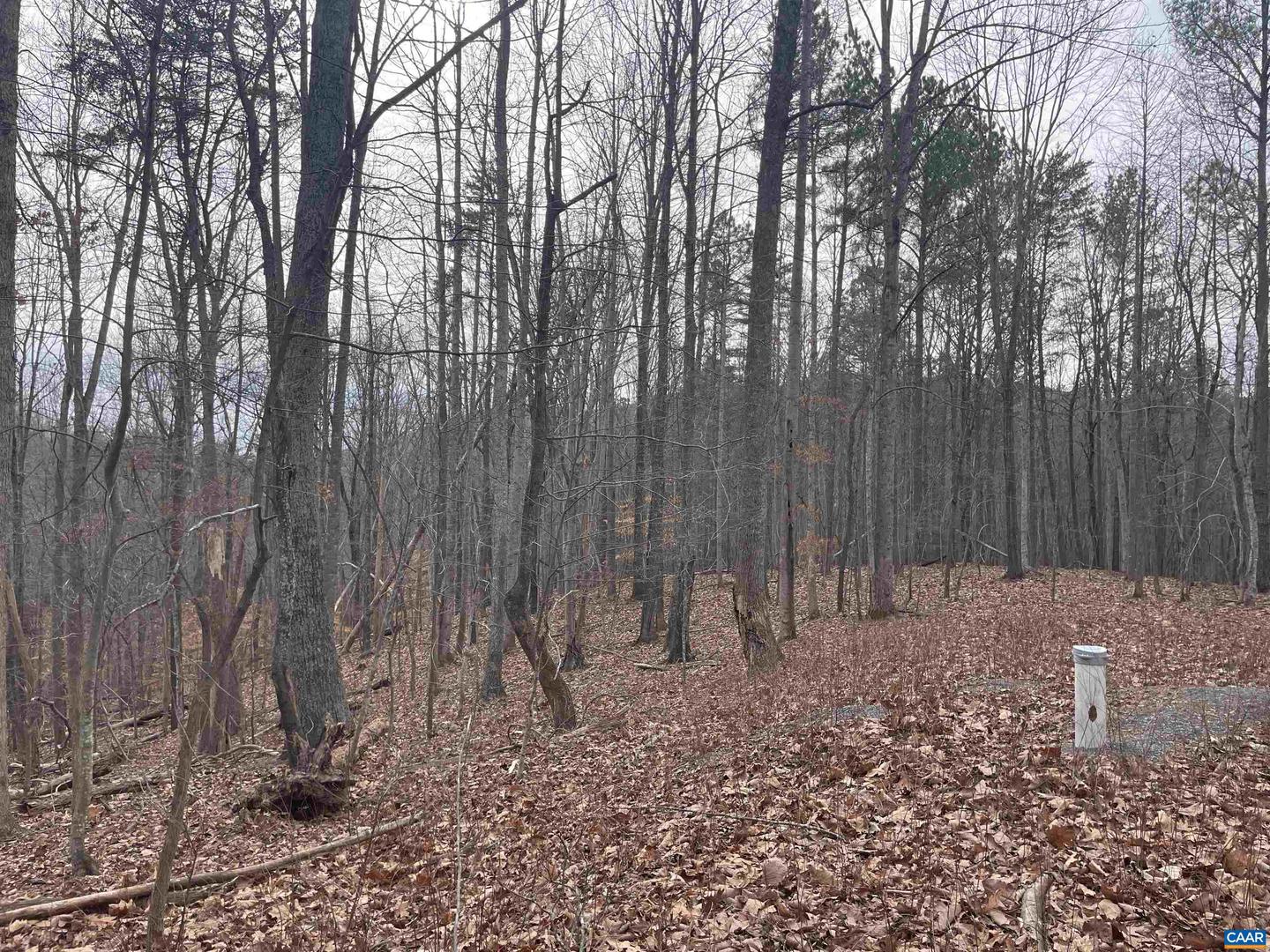 LOT 12 ENNIS MOUNTAIN RD, AFTON, Virginia 22920, ,Land,For sale,LOT 12 ENNIS MOUNTAIN RD,657845 MLS # 657845