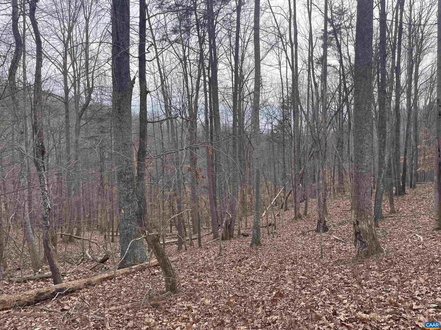 LOT 12 ENNIS MOUNTAIN RD, AFTON, Virginia 22920, ,Land,For sale,LOT 12 ENNIS MOUNTAIN RD,657845 MLS # 657845