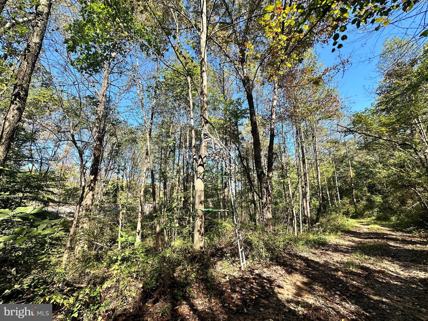 5885 BRUSH MTN TRL, COVESVILLE, Virginia 22931, ,Land,For sale,5885 BRUSH MTN TRL,VAAB2000772 MLS # VAAB2000772