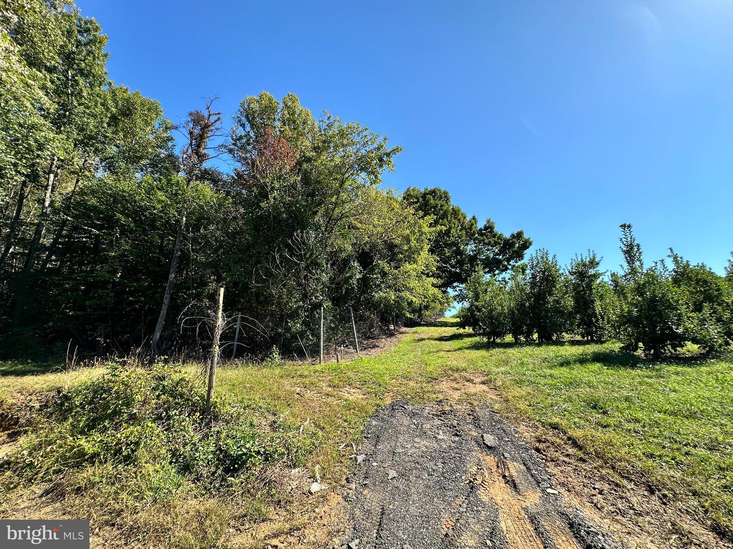 5885 BRUSH MTN TRL, COVESVILLE, Virginia 22931, ,Land,For sale,5885 BRUSH MTN TRL,VAAB2000772 MLS # VAAB2000772