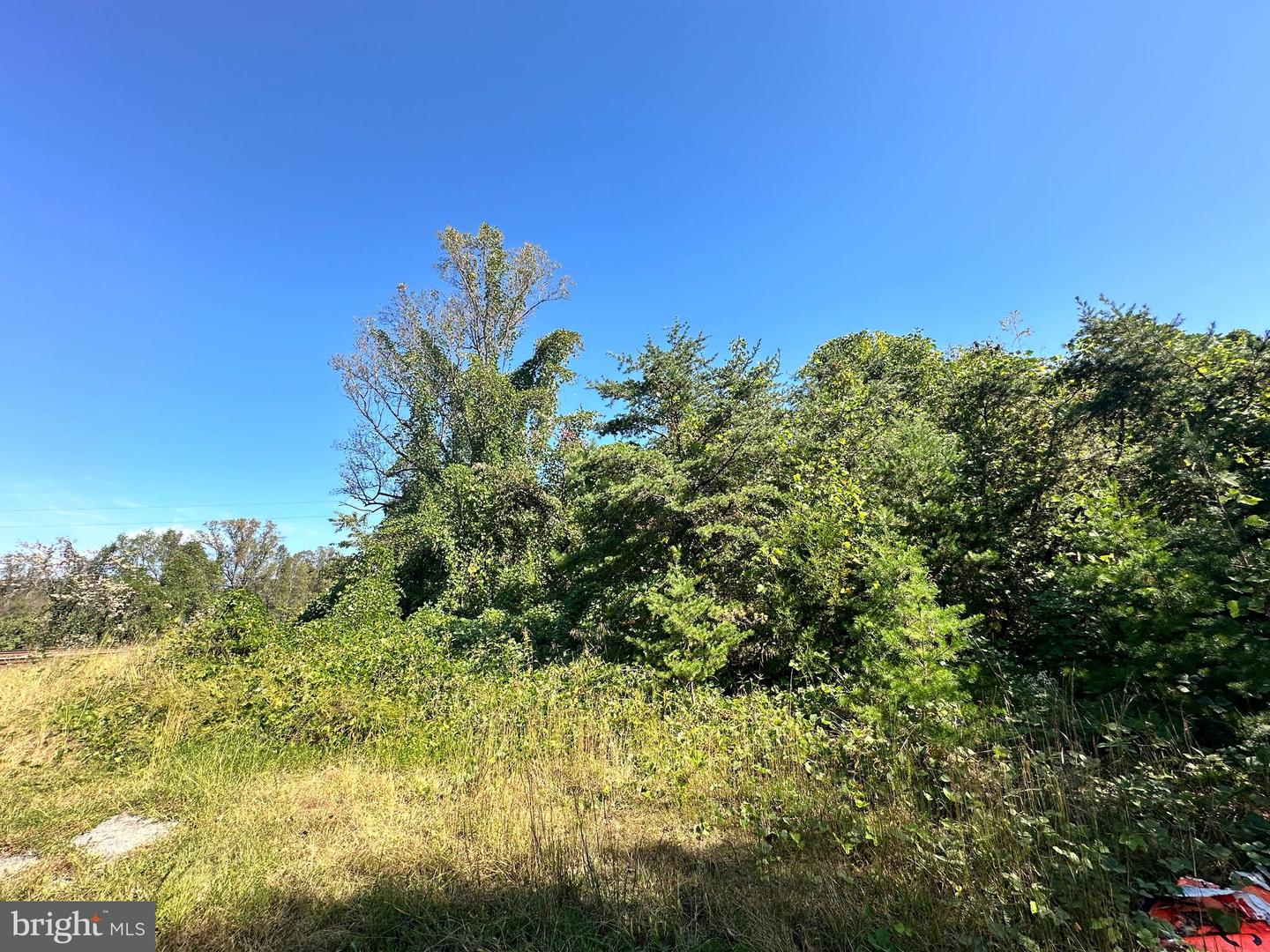 5885 BRUSH MTN TRL, COVESVILLE, Virginia 22931, ,Land,For sale,5885 BRUSH MTN TRL,VAAB2000772 MLS # VAAB2000772