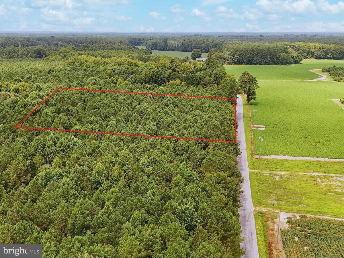 RIVERS MILL RD., CAPRON, Virginia 23829, ,Land,For sale,RIVERS MILL RD.,VASU2000012 MLS # VASU2000012