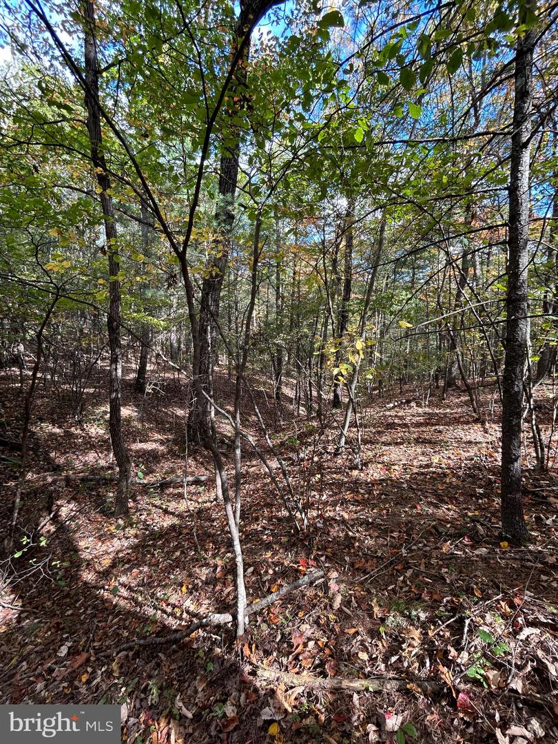 SUPINLICK RIDGE, MOUNT JACKSON, Virginia 22842, ,Land,For sale,SUPINLICK RIDGE,VASH2009876 MLS # VASH2009876