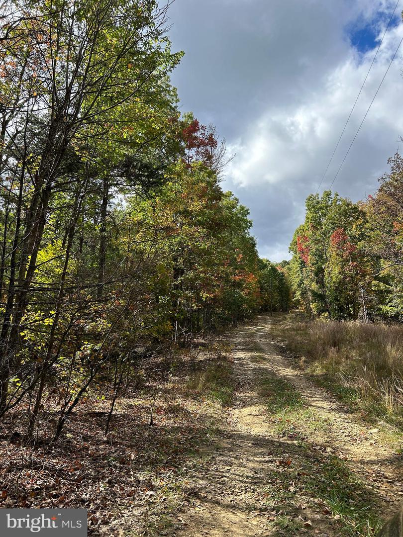 SUPINLICK RIDGE, MOUNT JACKSON, Virginia 22842, ,Land,For sale,SUPINLICK RIDGE,VASH2009876 MLS # VASH2009876