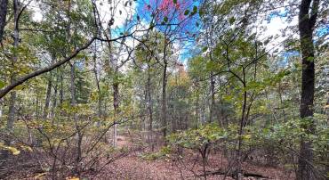 SUPINLICK RIDGE, MOUNT JACKSON, Virginia 22842, ,Land,For sale,SUPINLICK RIDGE,VASH2009876 MLS # VASH2009876