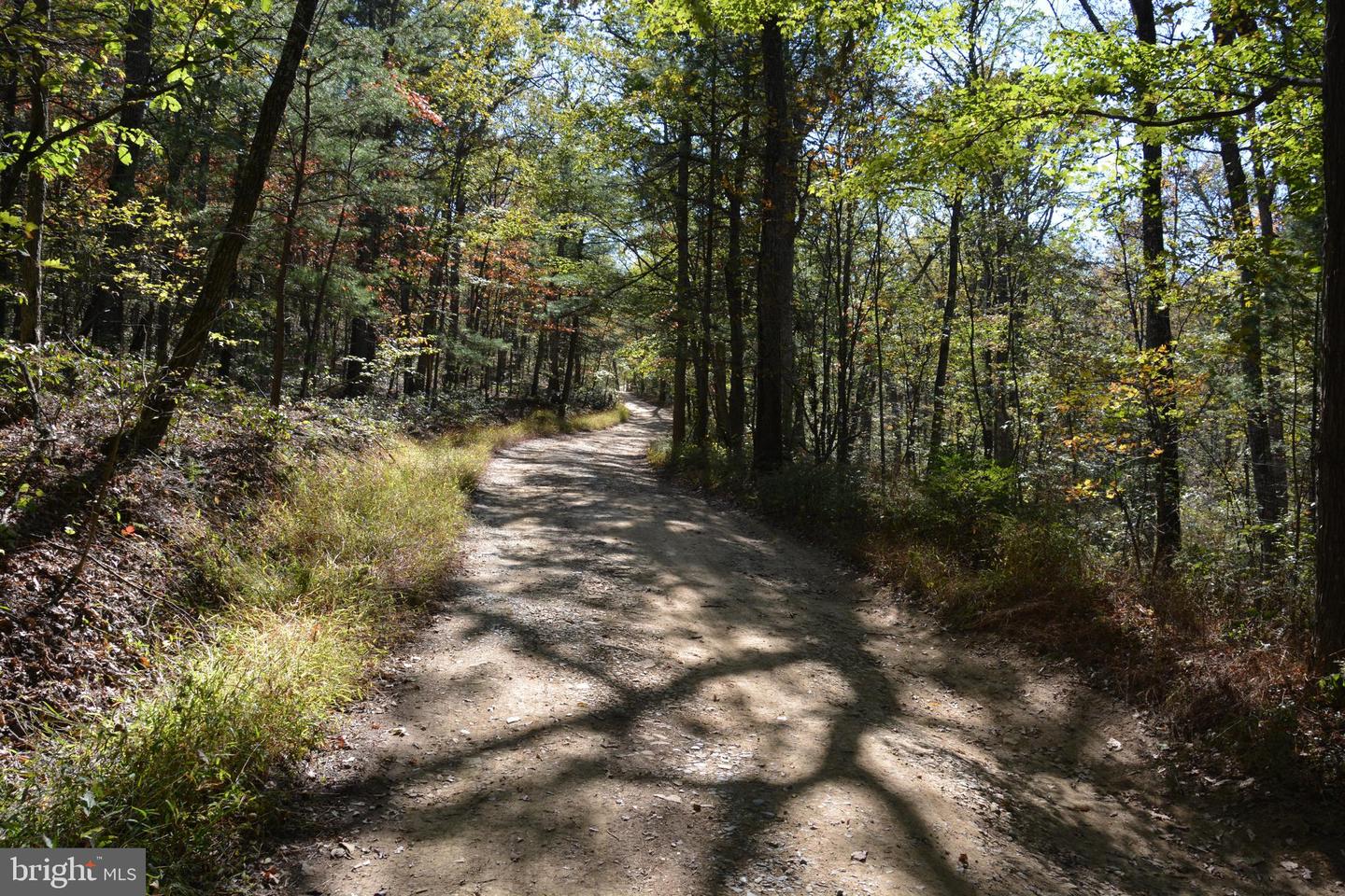 33+ ACRES QUAIL RUN LN, WINCHESTER, Virginia 22602, ,Land,For sale,33+ ACRES QUAIL RUN LN,VAFV2022278 MLS # VAFV2022278