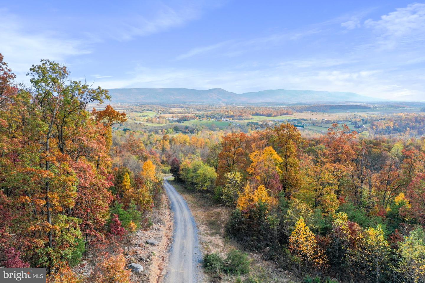 320 HUNTER RD, MAURERTOWN, Virginia 22644, ,Land,For sale,320 HUNTER RD,VASH2009880 MLS # VASH2009880