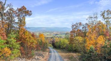 320 HUNTER RD, MAURERTOWN, Virginia 22644, ,Land,For sale,320 HUNTER RD,VASH2009880 MLS # VASH2009880