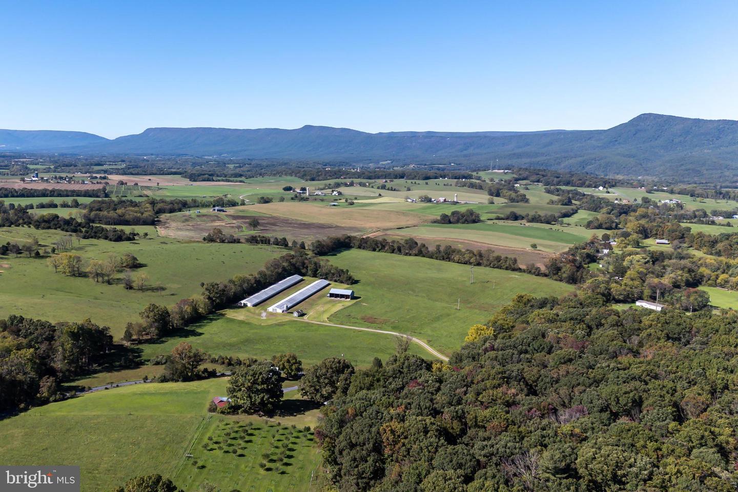 VAUGHN SUMMIT RD., LURAY, Virginia 22835, ,Land,For sale,VAUGHN SUMMIT RD.,VAPA2004118 MLS # VAPA2004118