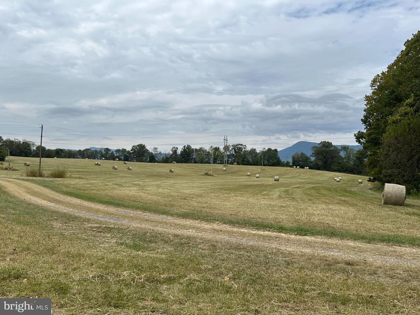 VAUGHN SUMMIT RD., LURAY, Virginia 22835, ,Land,For sale,VAUGHN SUMMIT RD.,VAPA2004118 MLS # VAPA2004118