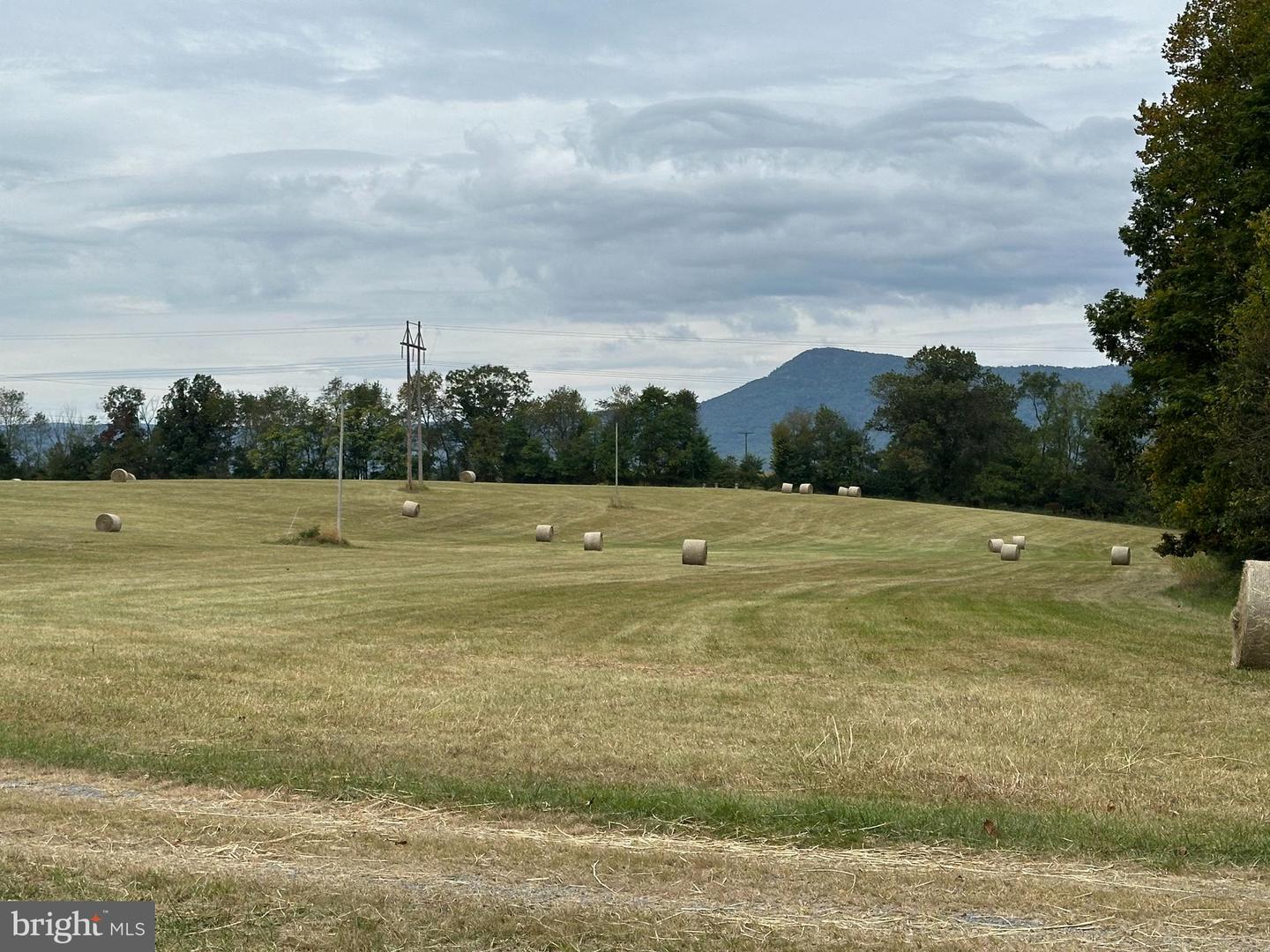 VAUGHN SUMMIT RD., LURAY, Virginia 22835, ,Land,For sale,VAUGHN SUMMIT RD.,VAPA2004118 MLS # VAPA2004118