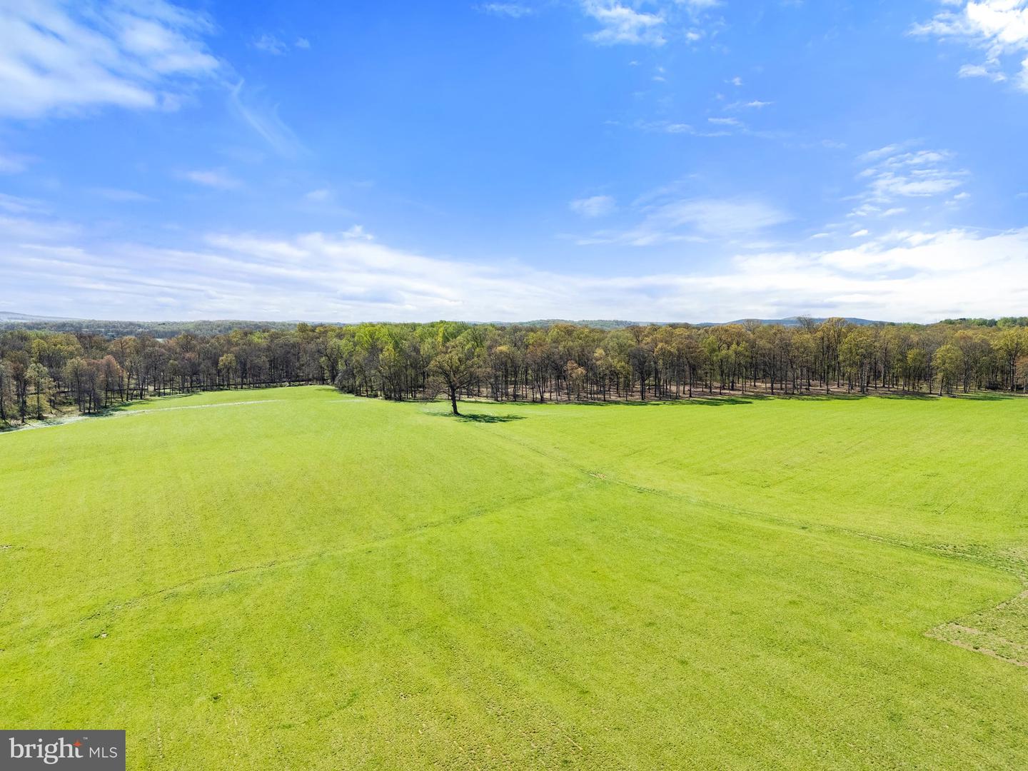 ATOKA RD, MARSHALL, Virginia 20115, ,Farm,For sale,ATOKA RD,VAFQ2014324 MLS # VAFQ2014324