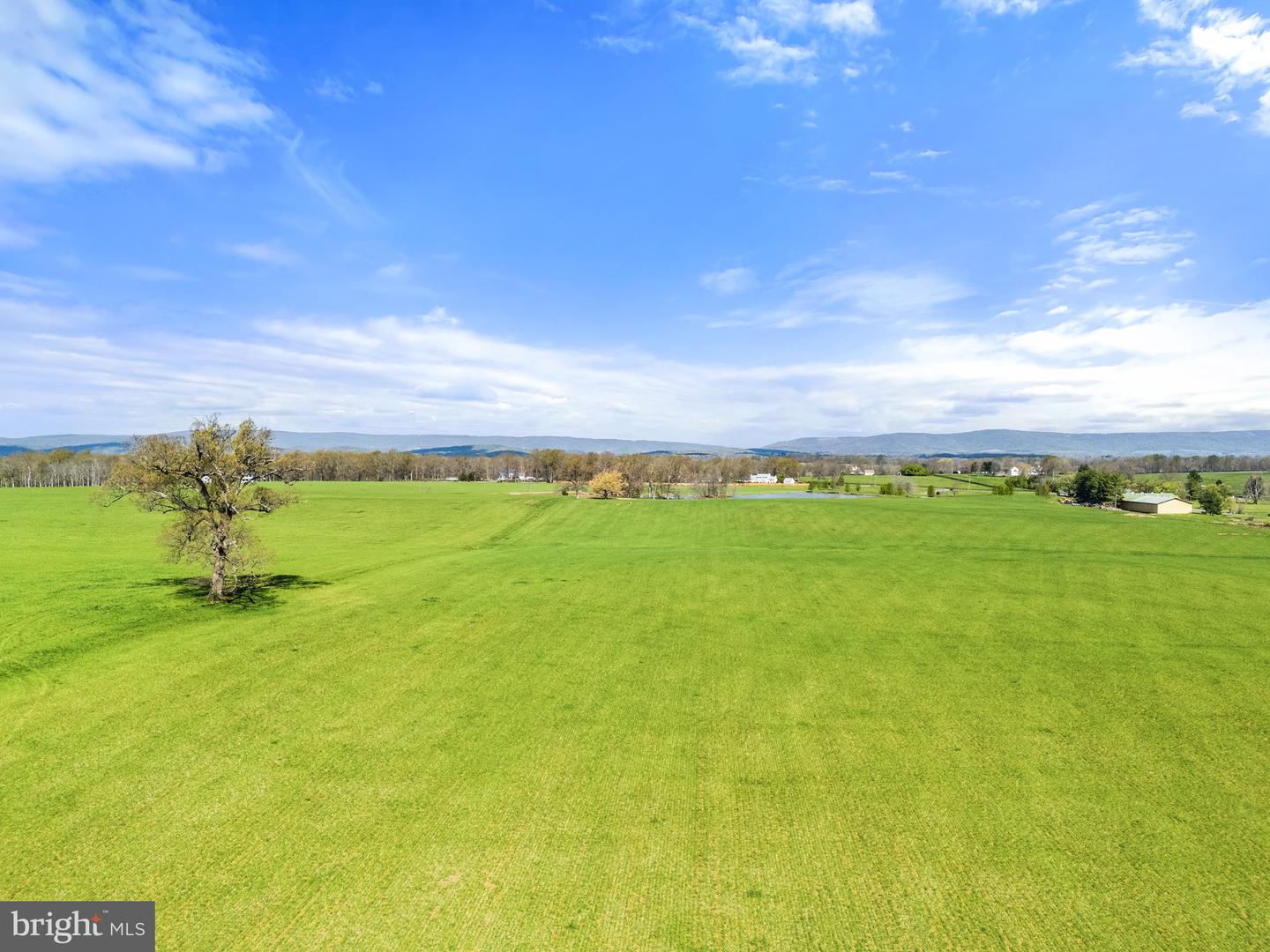 ATOKA RD, MARSHALL, Virginia 20115, ,Farm,For sale,ATOKA RD,VAFQ2014324 MLS # VAFQ2014324