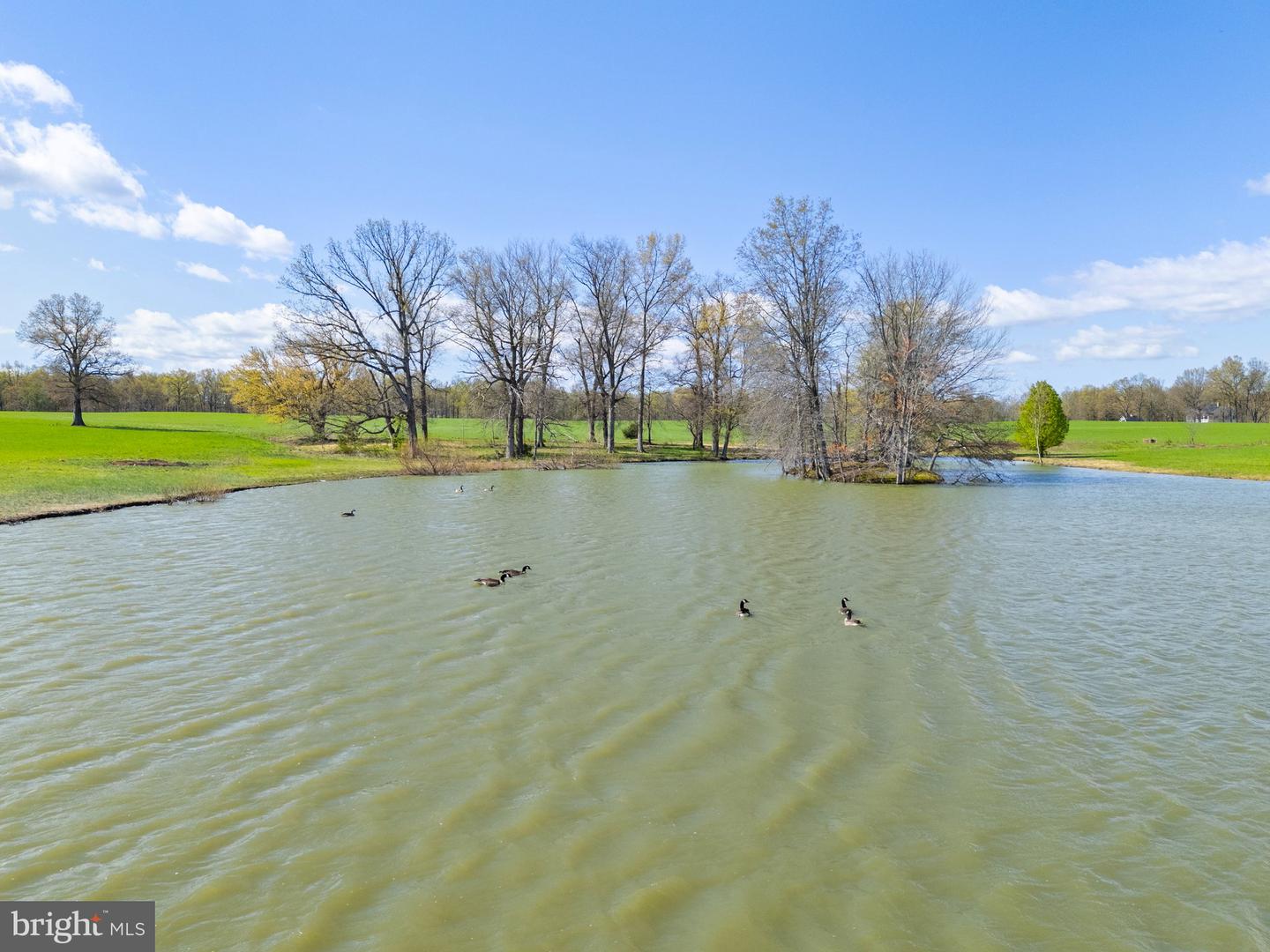 ATOKA RD, MARSHALL, Virginia 20115, ,Farm,For sale,ATOKA RD,VAFQ2014324 MLS # VAFQ2014324
