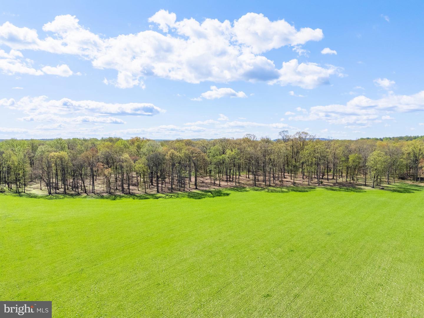 ATOKA RD, MARSHALL, Virginia 20115, ,Farm,For sale,ATOKA RD,VAFQ2014324 MLS # VAFQ2014324