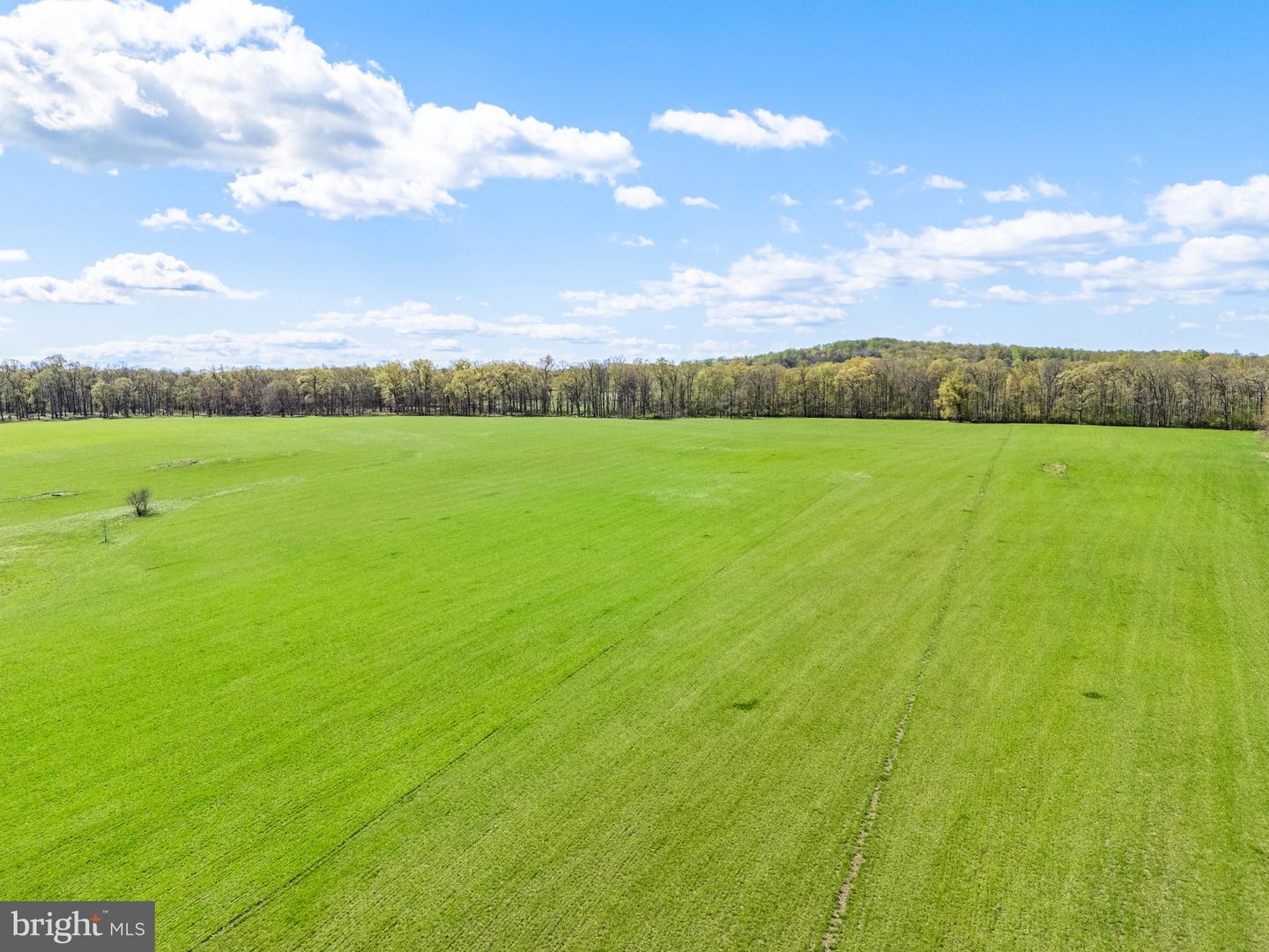 ATOKA RD, MARSHALL, Virginia 20115, ,Farm,For sale,ATOKA RD,VAFQ2014324 MLS # VAFQ2014324
