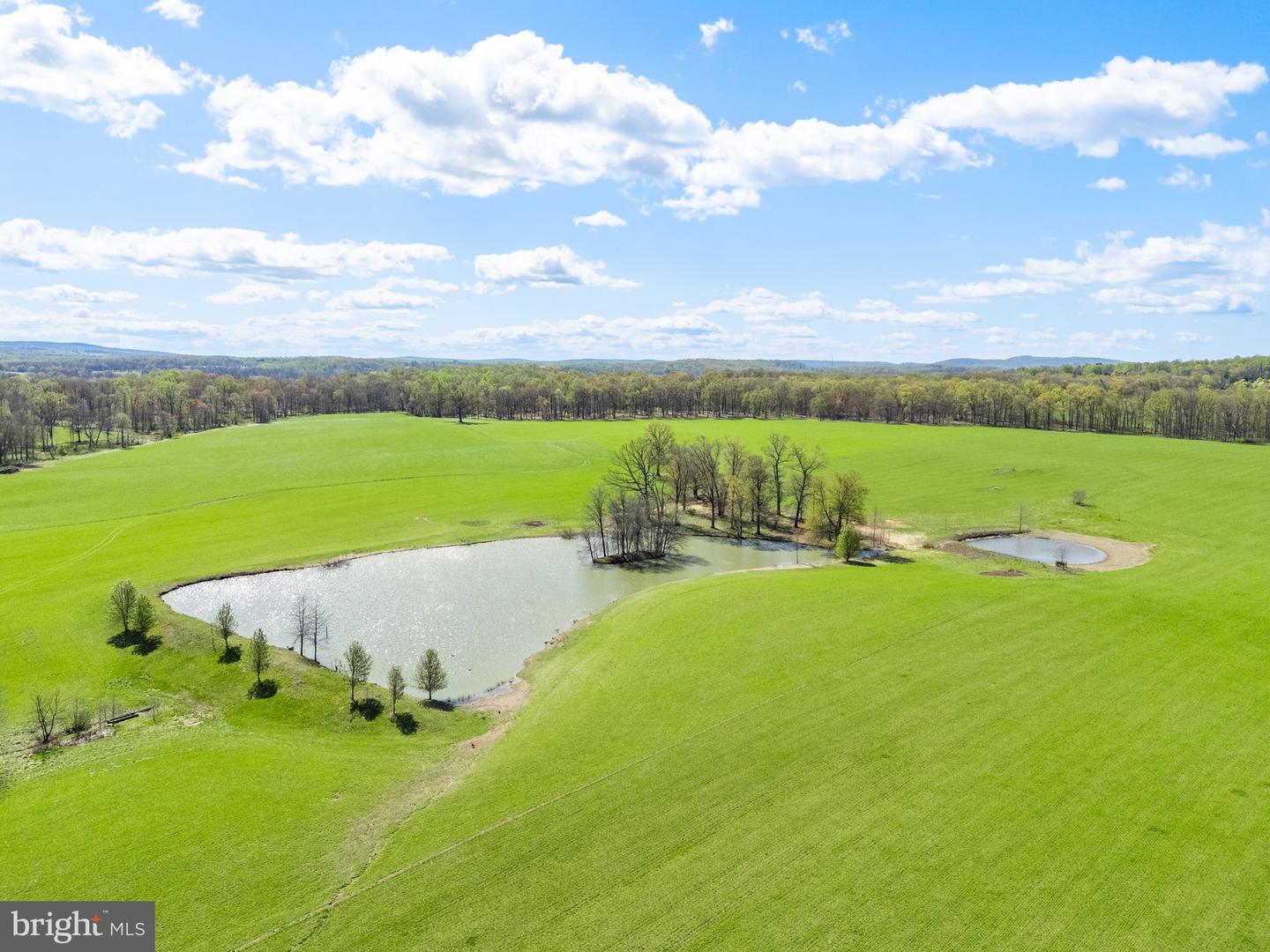 ATOKA RD, MARSHALL, Virginia 20115, ,Farm,For sale,ATOKA RD,VAFQ2014324 MLS # VAFQ2014324