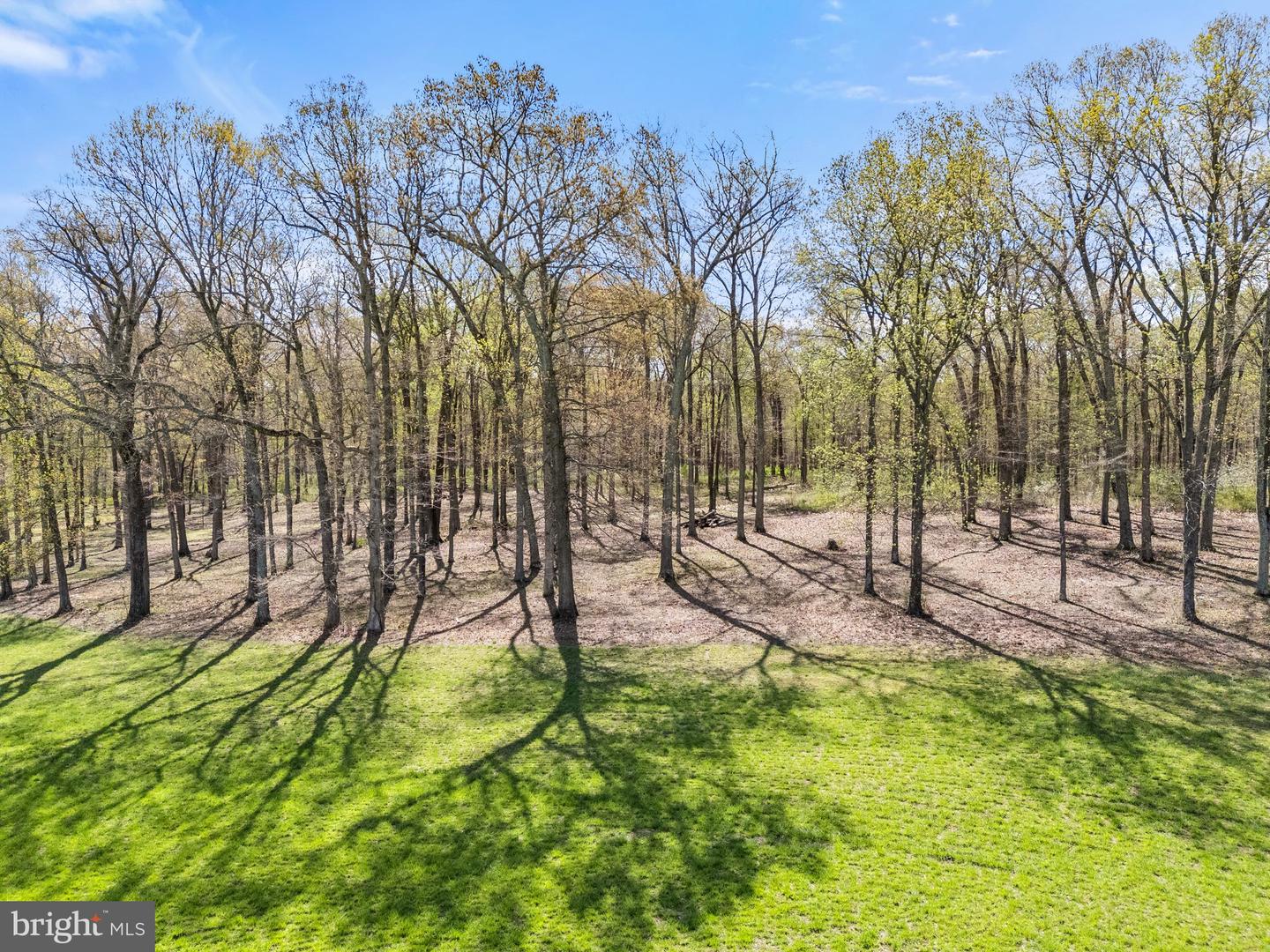 ATOKA RD, MARSHALL, Virginia 20115, ,Farm,For sale,ATOKA RD,VAFQ2014324 MLS # VAFQ2014324