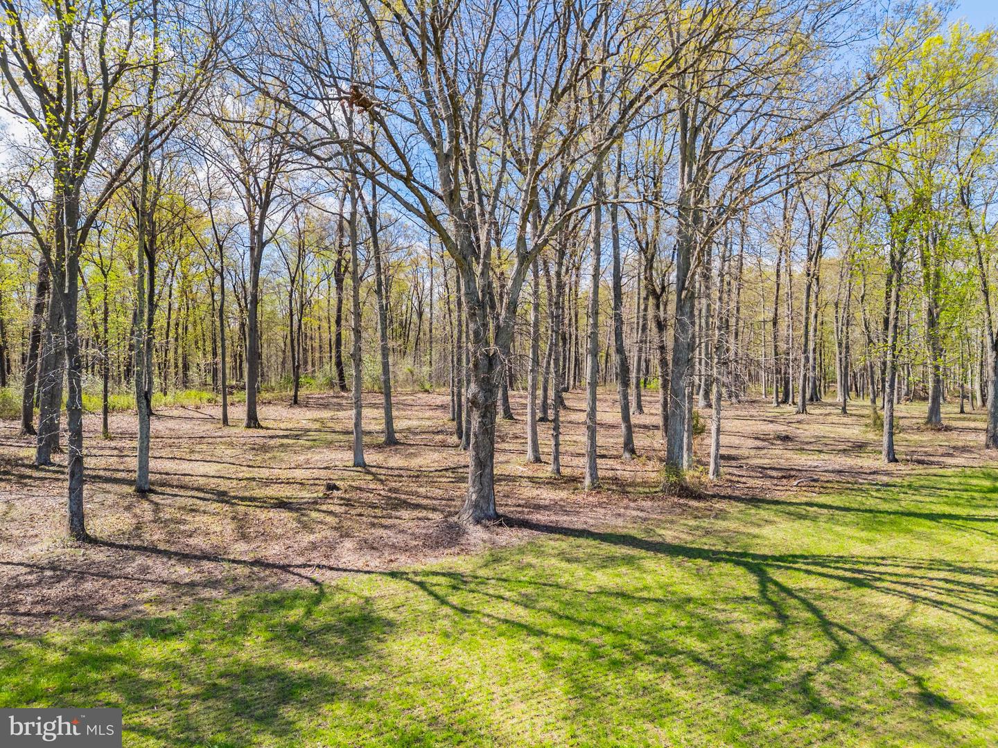 ATOKA RD, MARSHALL, Virginia 20115, ,Farm,For sale,ATOKA RD,VAFQ2014324 MLS # VAFQ2014324