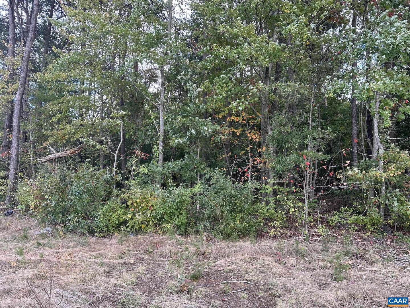 LOT 4 CONSTITUTION HWY #4, ORANGE, Virginia 22960, ,Land,For sale,LOT 4 CONSTITUTION HWY #4,657931 MLS # 657931