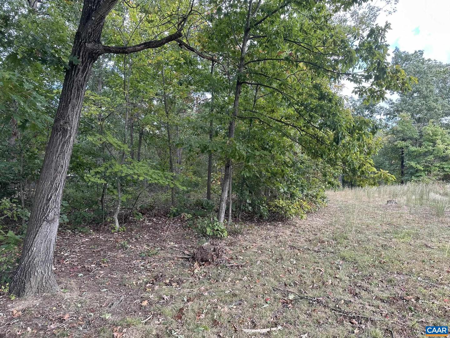 LOT 4 CONSTITUTION HWY #4, ORANGE, Virginia 22960, ,Land,For sale,LOT 4 CONSTITUTION HWY #4,657931 MLS # 657931