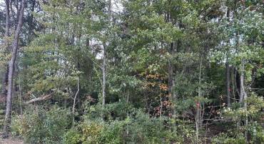 LOT 4 CONSTITUTION HWY #4, ORANGE, Virginia 22960, ,Land,For sale,LOT 4 CONSTITUTION HWY #4,657931 MLS # 657931