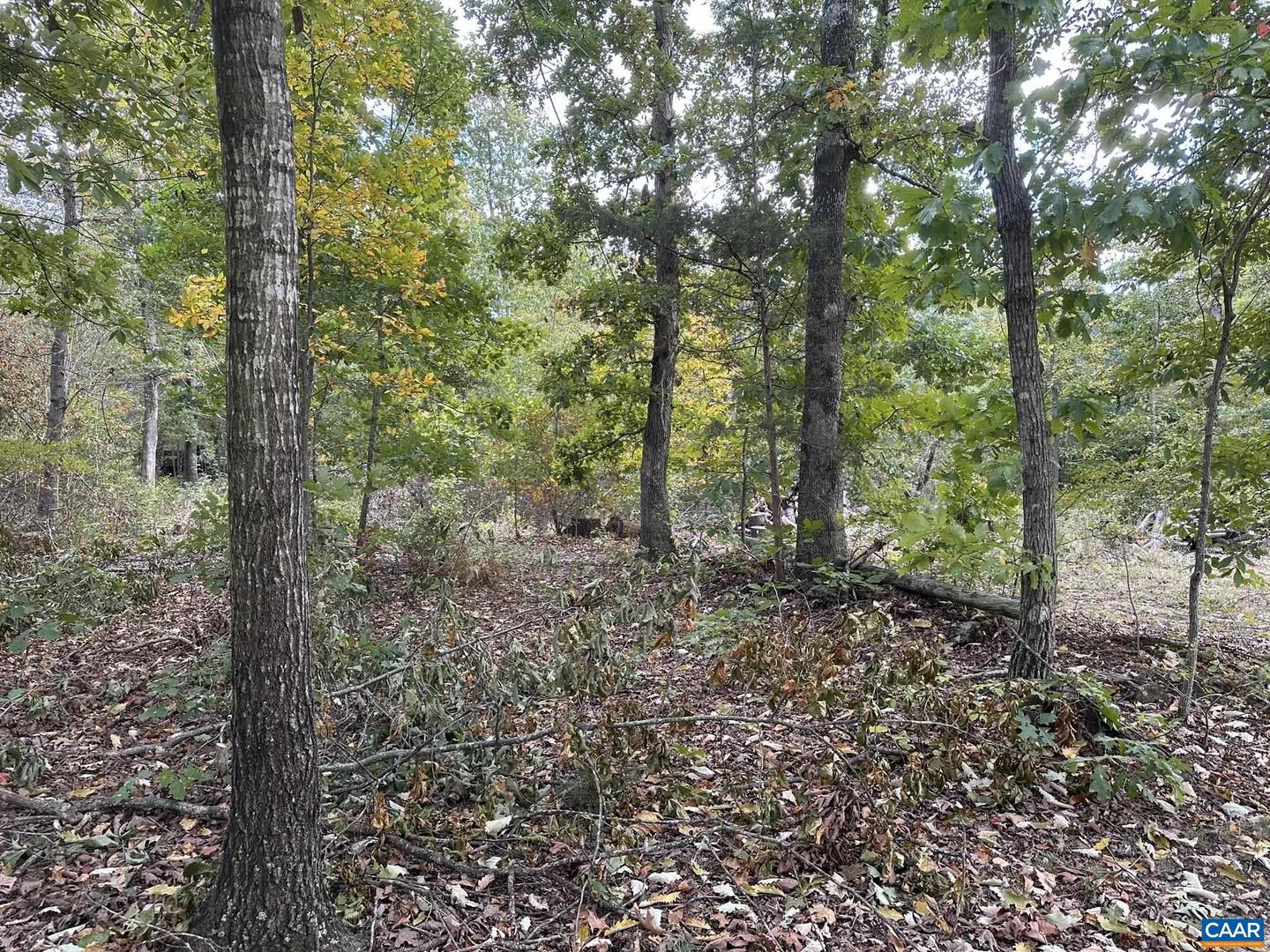 LOT 5 CONSTITUTION HWY #5, ORANGE, Virginia 22960, ,Land,For sale,LOT 5 CONSTITUTION HWY #5,657932 MLS # 657932