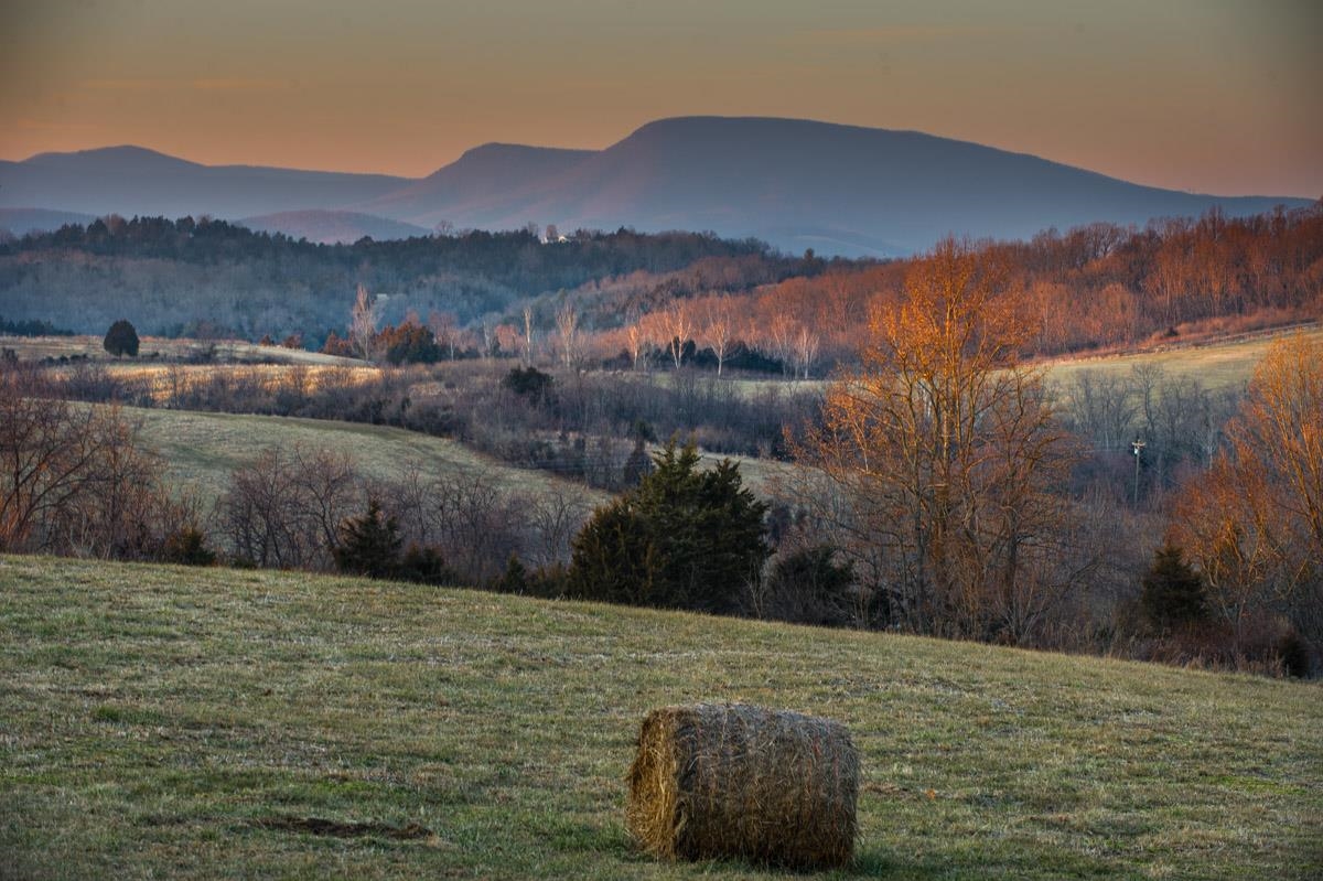 BECK'S WAY, LEXINGTON, Virginia 24450, ,Land,BECK'S WAY,649920 MLS # 649920