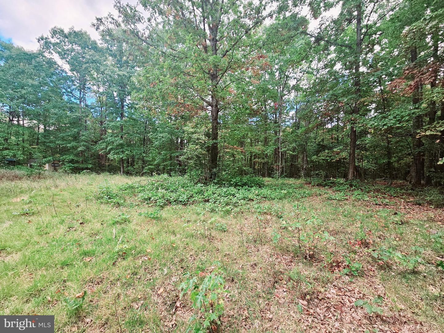 0 VENABLE RD, KENTS STORE, Virginia 23084, ,Land,For sale,0 VENABLE RD,VAFN2000348 MLS # VAFN2000348