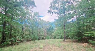 0 VENABLE RD, KENTS STORE, Virginia 23084, ,Land,For sale,0 VENABLE RD,VAFN2000348 MLS # VAFN2000348