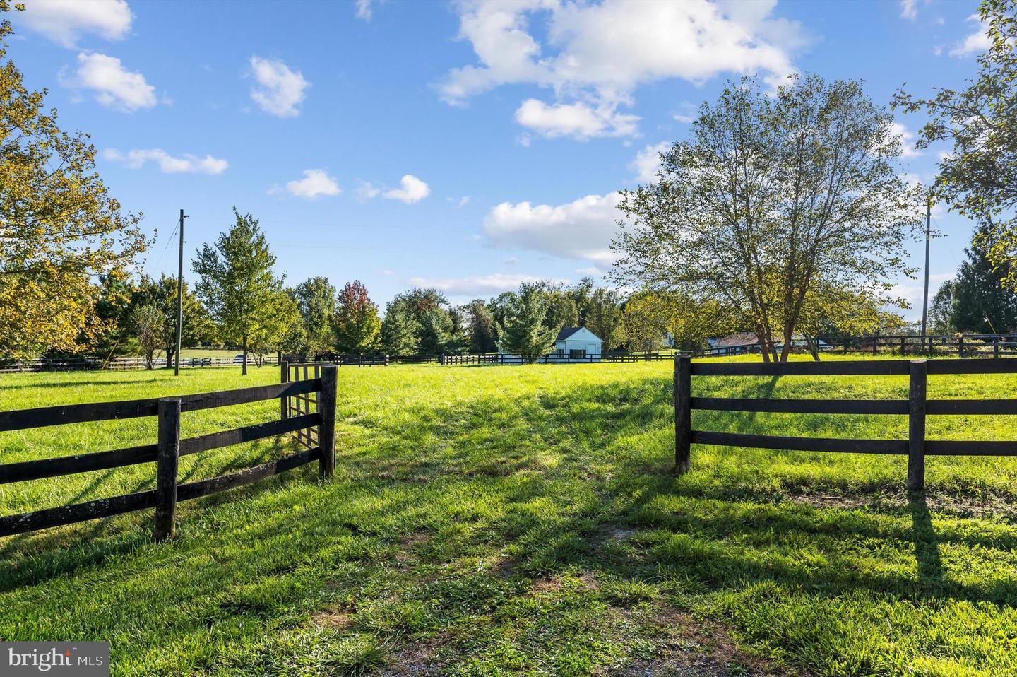 2801 SALEM CHURCH RD, BERRYVILLE, Virginia 22611, 5 Bedrooms Bedrooms, ,5 BathroomsBathrooms,Residential,For sale,2801 SALEM CHURCH RD,VACL2003130 MLS # VACL2003130