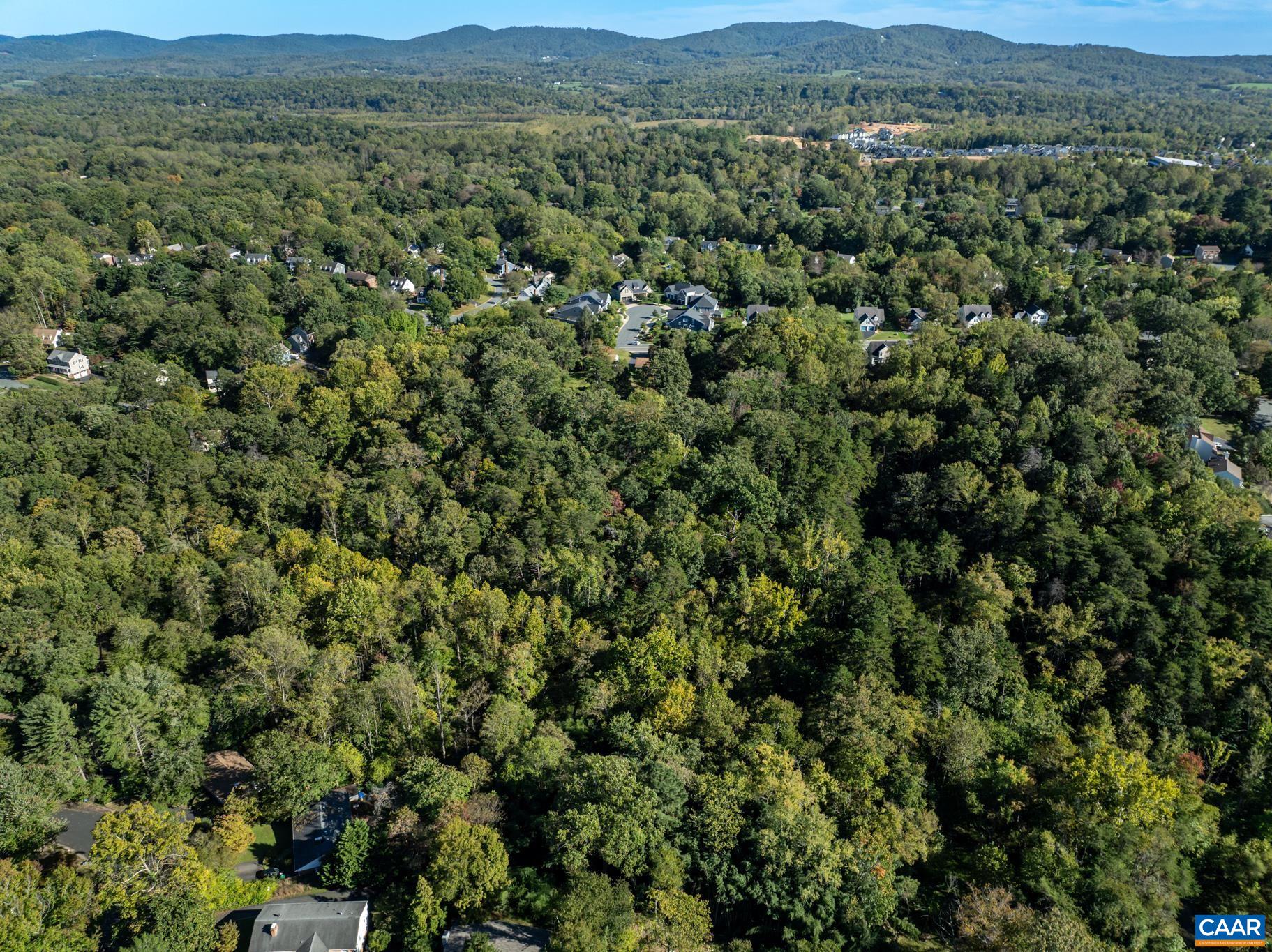 1704 OLD BROOK RD, CHARLOTTESVILLE, Virginia 22901, ,Residential,1704 OLD BROOK RD,657954 MLS # 657954