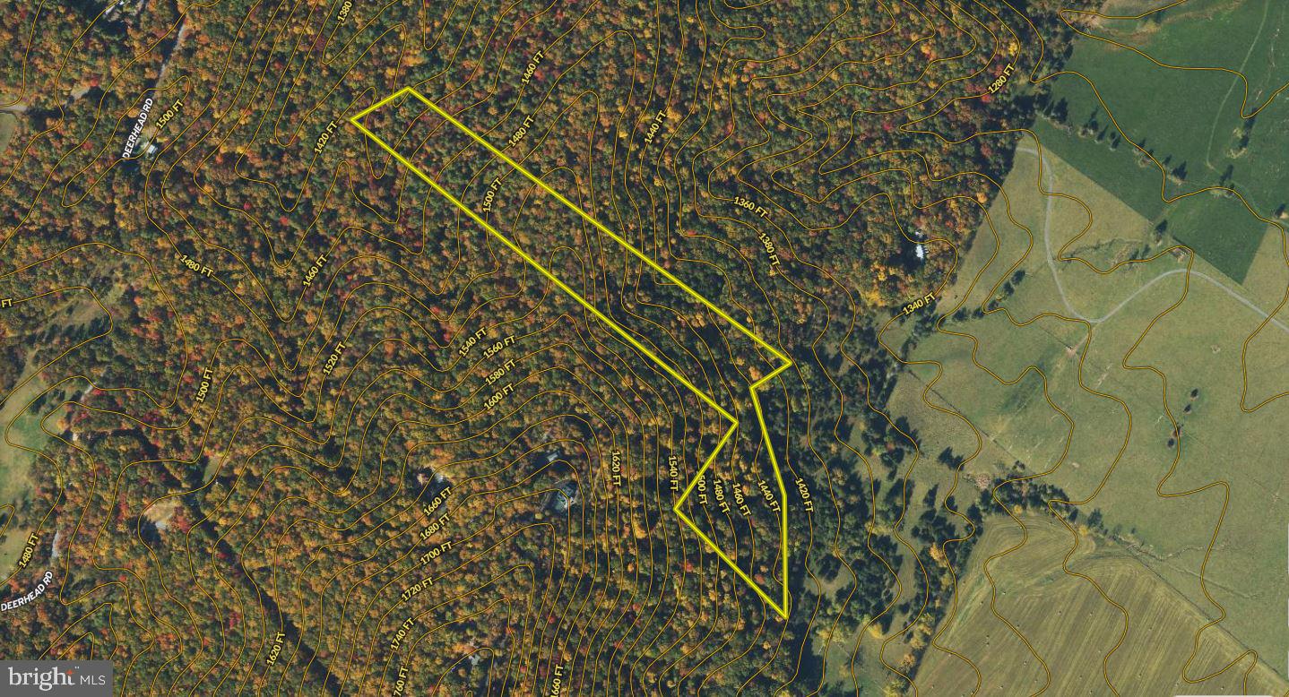 SENEDO RD, MOUNT JACKSON, Virginia 22842, ,Land,For sale,SENEDO RD,VASH2009842 MLS # VASH2009842