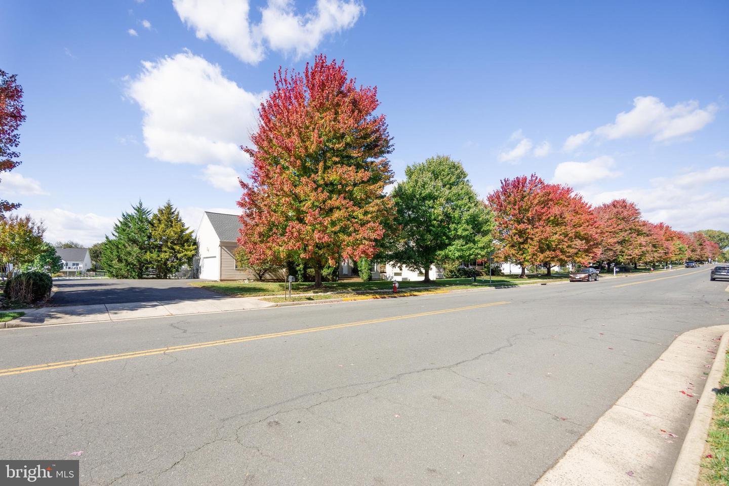 641 S MAPLE AVE, PURCELLVILLE, Virginia 20132, 6 Bedrooms Bedrooms, ,4 BathroomsBathrooms,Residential,For sale,641 S MAPLE AVE,VALO2082032 MLS # VALO2082032