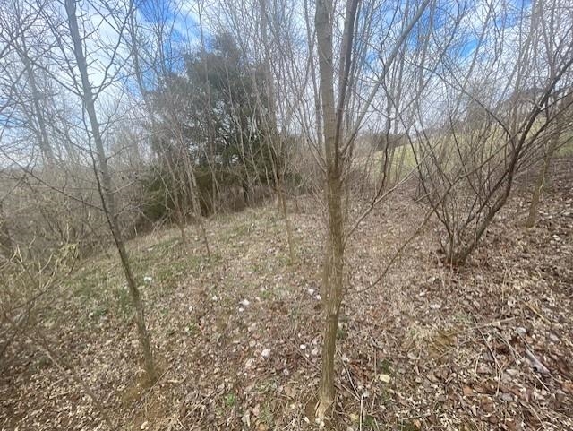 0 LONG MEADOW RD, FISHERSVILLE, Virginia 22939, ,Land,0 LONG MEADOW RD,651287 MLS # 651287