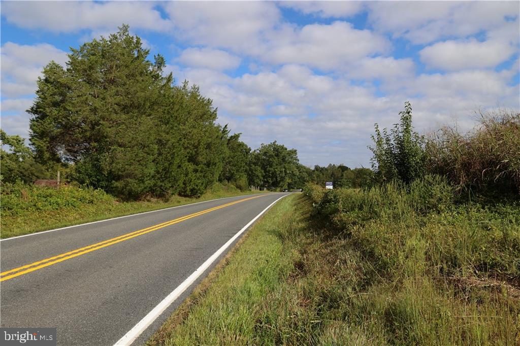 000 CROSS COUNTY RD, MINERAL, Virginia 23117, ,Land,For sale,000 CROSS COUNTY RD,VALA2006700 MLS # VALA2006700