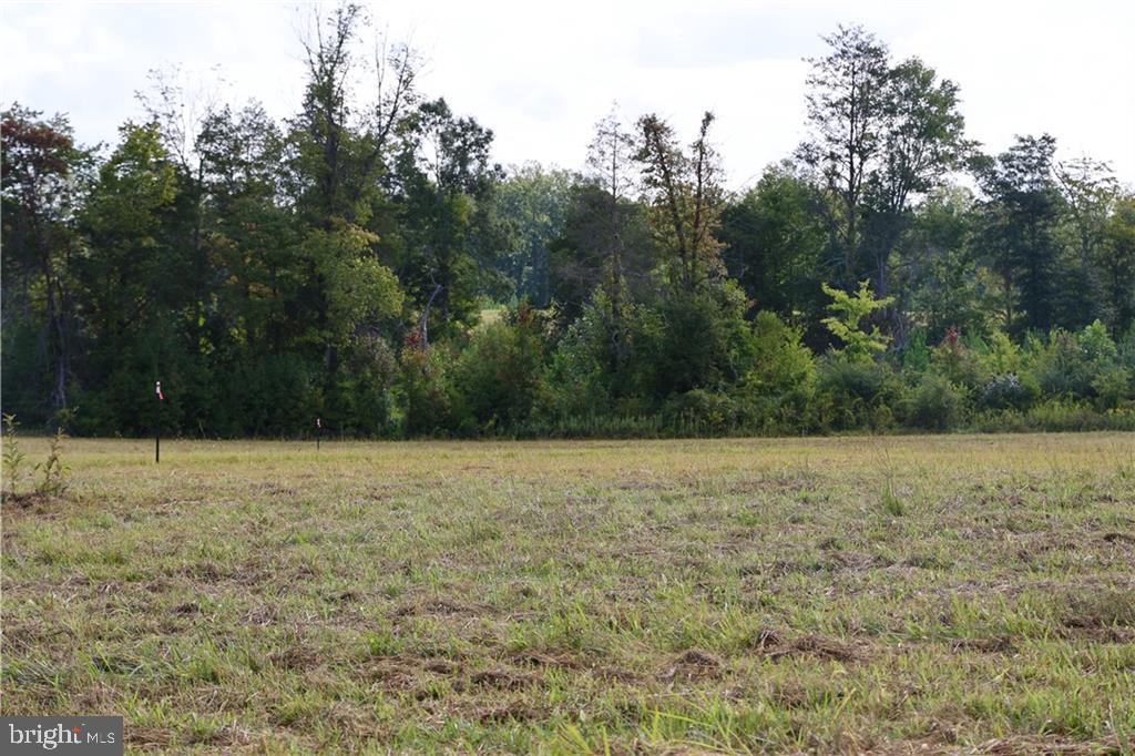 000 CROSS COUNTY RD, MINERAL, Virginia 23117, ,Land,For sale,000 CROSS COUNTY RD,VALA2006700 MLS # VALA2006700