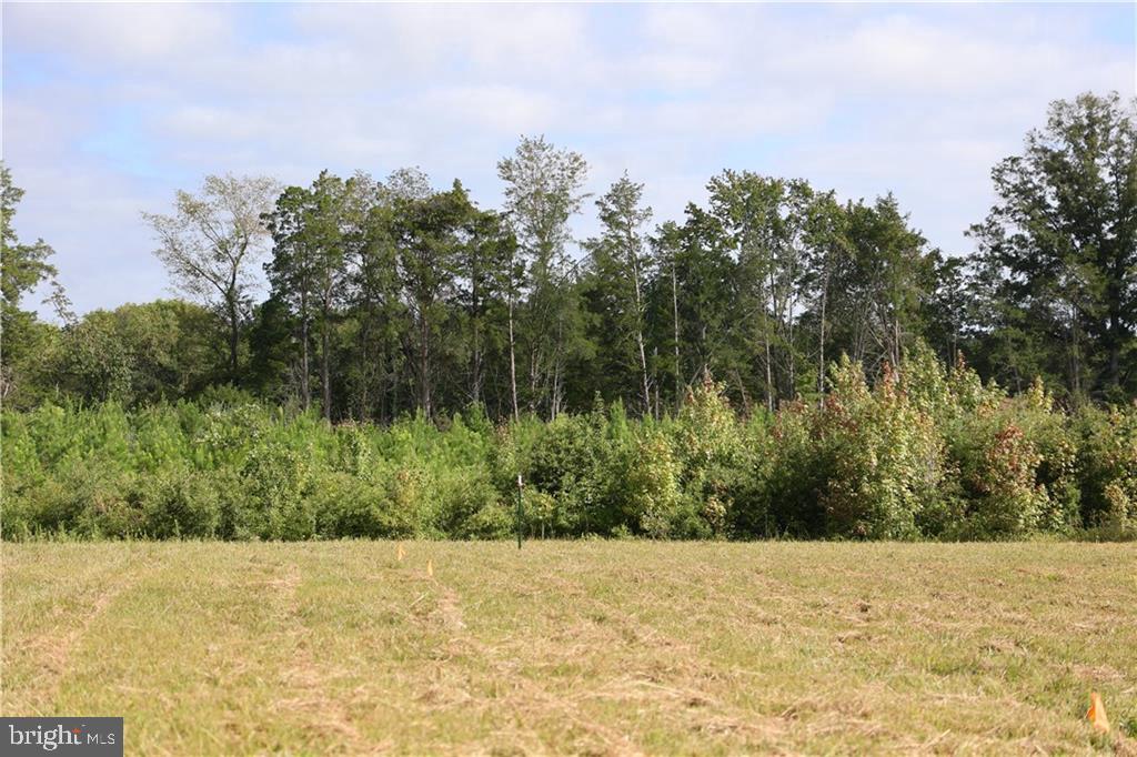 000 CROSS COUNTY RD, MINERAL, Virginia 23117, ,Land,For sale,000 CROSS COUNTY RD,VALA2006700 MLS # VALA2006700