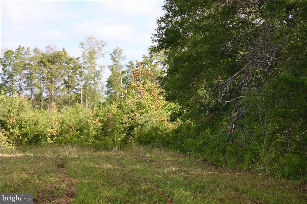 000 CROSS COUNTY RD, MINERAL, Virginia 23117, ,Land,For sale,000 CROSS COUNTY RD,VALA2006700 MLS # VALA2006700