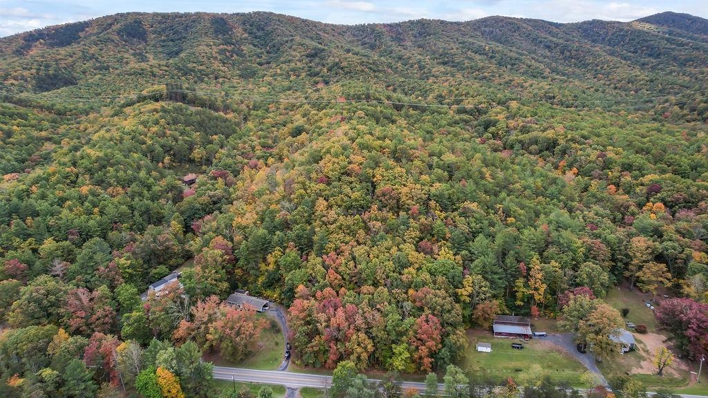 2686 HANKEY MOUNTAIN HWY, CHURCHVILLE, Virginia 24421, 3 Bedrooms Bedrooms, ,1 BathroomBathrooms,Residential,Backs to George Washington National Forest,2686 HANKEY MOUNTAIN HWY,658000 MLS # 658000