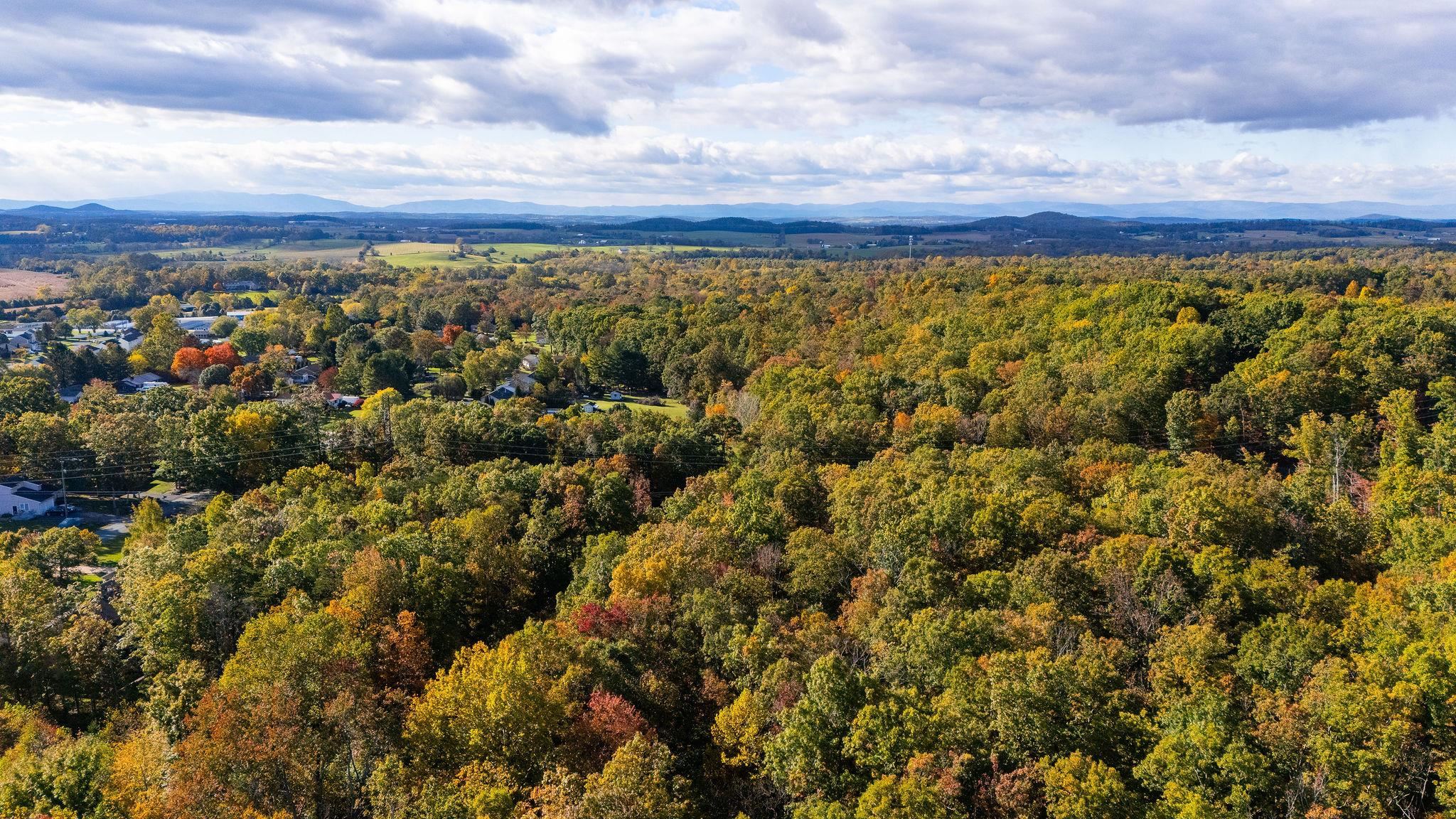 tbd FORGOTTEN LN, WAYNESBORO, Virginia 22980, ,Land,tbd FORGOTTEN LN,658026 MLS # 658026