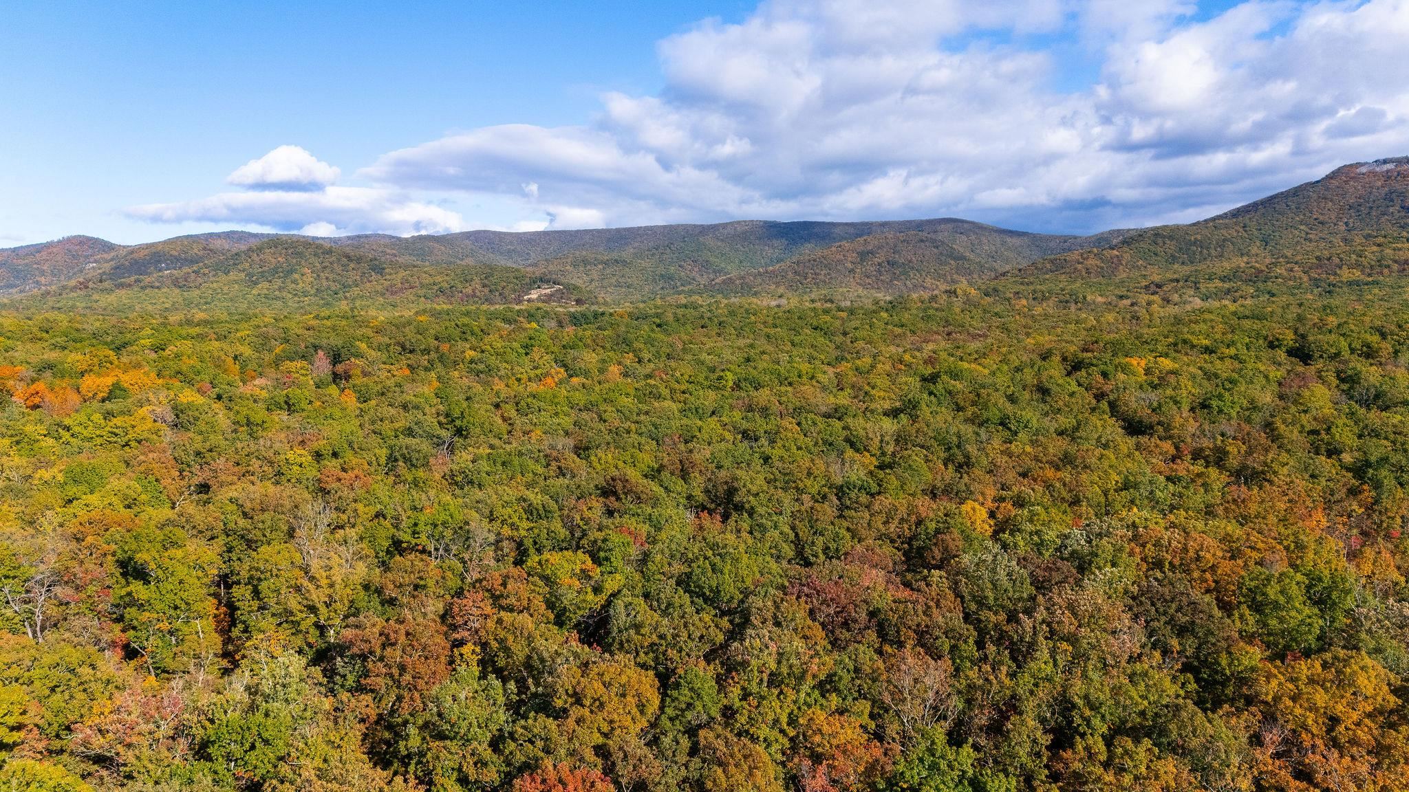 tbd FORGOTTEN LN, WAYNESBORO, Virginia 22980, ,Land,tbd FORGOTTEN LN,658026 MLS # 658026