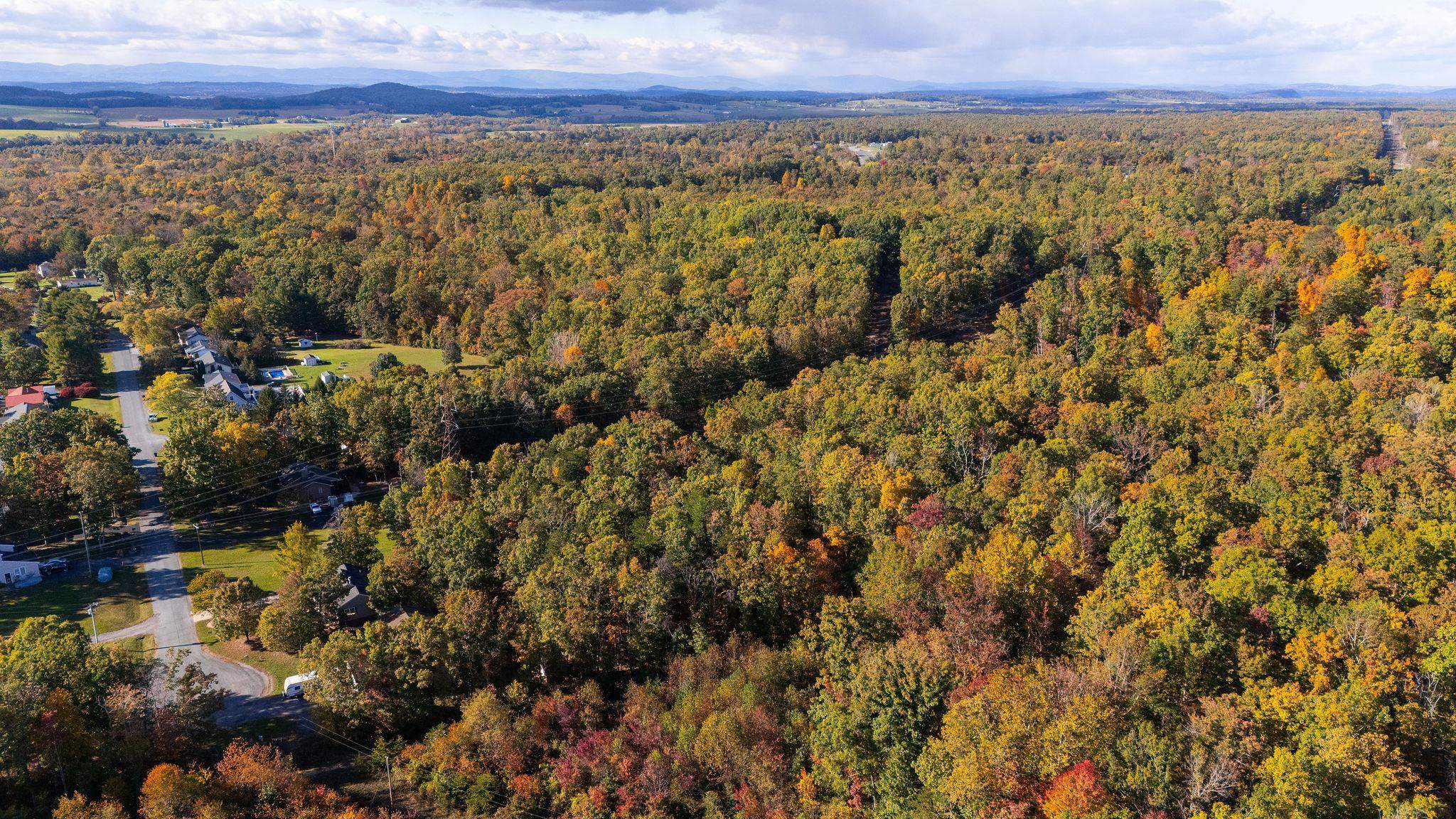 tbd FORGOTTEN LN, WAYNESBORO, Virginia 22980, ,Land,tbd FORGOTTEN LN,658026 MLS # 658026