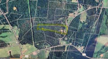 PEACH GROVE ROAD, LOUISA, Virginia 23093, ,Land,For sale,PEACH GROVE ROAD,VALA2006696 MLS # VALA2006696