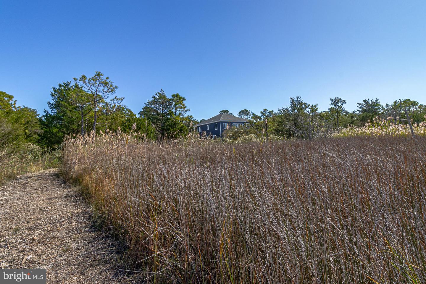 1203 TRANQUILITY RD, REEDVILLE, Virginia 22539, 4 Bedrooms Bedrooms, ,3 BathroomsBathrooms,Residential,For sale,1203 TRANQUILITY RD,VANV2001342 MLS # VANV2001342