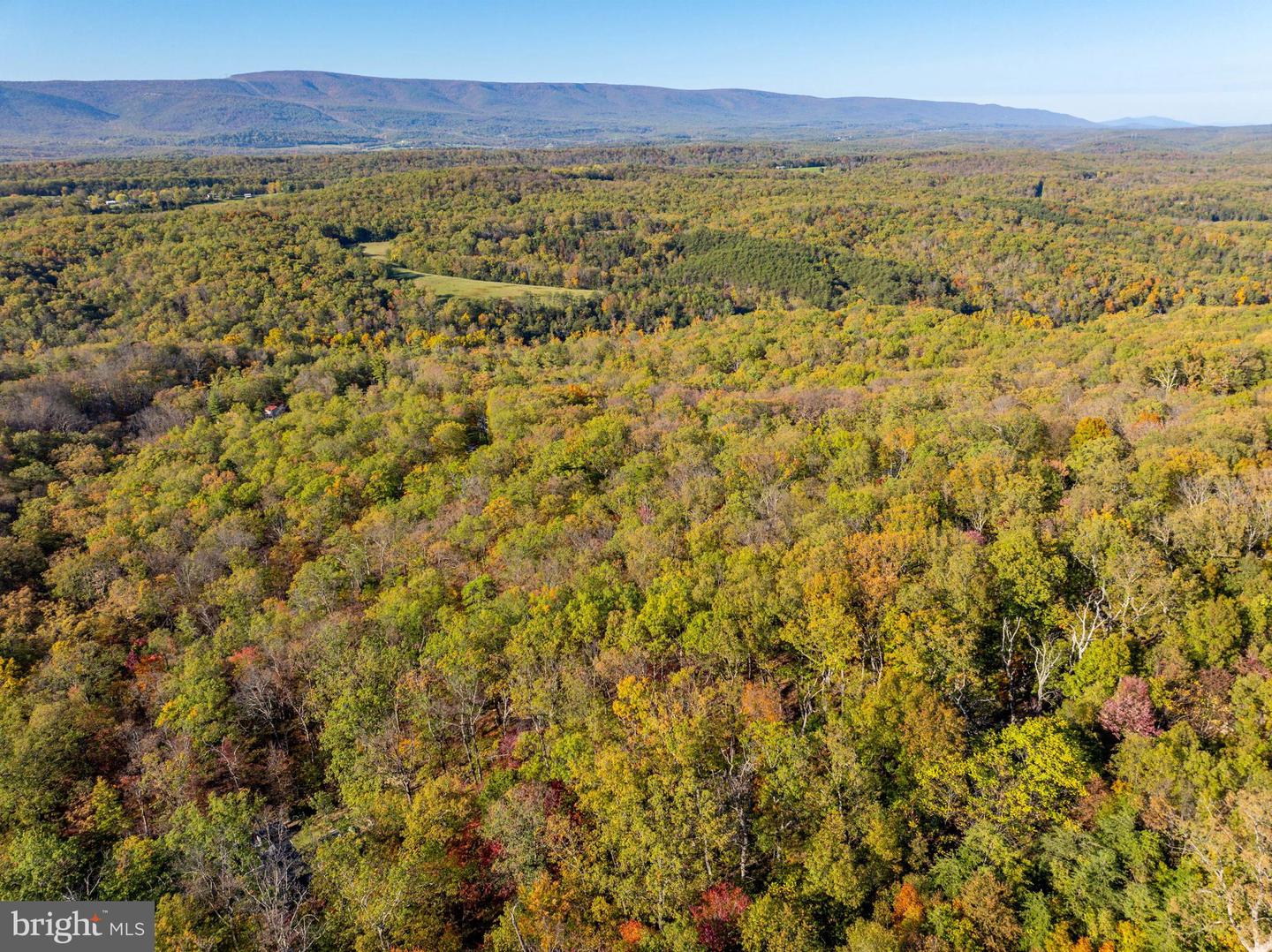 0 TIMBERLINE RIDGE ROAD, STAR TANNERY, Virginia 22654, ,Land,For sale,0 TIMBERLINE RIDGE ROAD,VASH2009918 MLS # VASH2009918